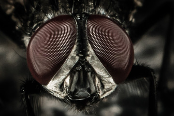 240_F_160846256_ZR9vA71XjoCt2jqNf5y1czAerC7VA5Qa